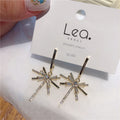 Firework Tassel Zircon Earrings with Silver Needles